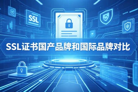2026年SSL证书国产品牌和国际品牌哪个好