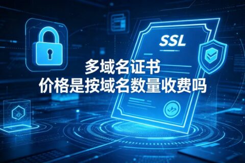 多域名证书价格是按域名数量收费吗？2026年最新解读