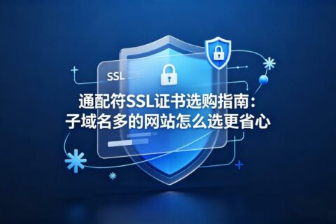 通配符SSL证书选购指南：子域名多的网站怎么选更省心