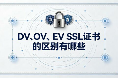 DV、OV、EV SSL证书的区别有哪些？2026年选购指南