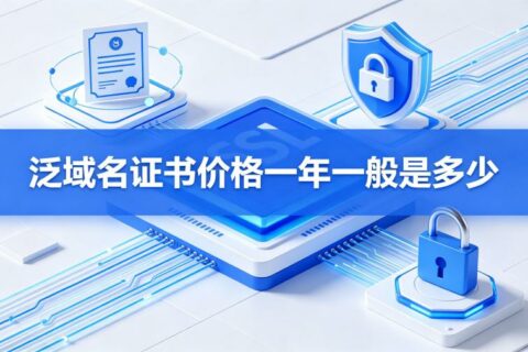 泛域名证书价格一年一般是多少？2026年SSL证书品牌报价对比与选购指南