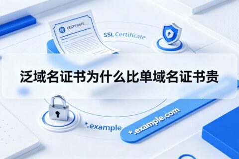 泛域名证书为什么比单域名证书贵？2026年SSL证书价格深度解析