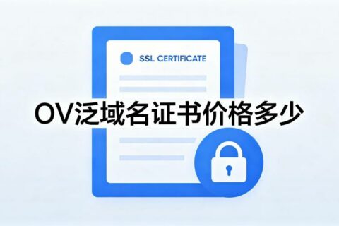 OV泛域名证书价格多少？2026年企业级SSL证书报价与选购全解析
