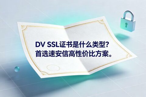 DV SSL证书是什么类型？首选速安信高性价比方案