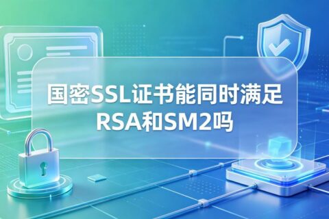 国密SSL证书能同时满足RSA和SM2吗？双证书部署方案全解析