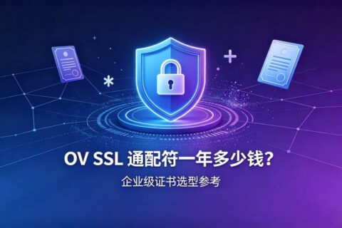 OV SSL通配符一年的多少钱？2026年国内采购价格与选型指南