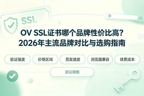 OV SSL证书哪个品牌性价比高？2026年主流品牌对比与选购指南