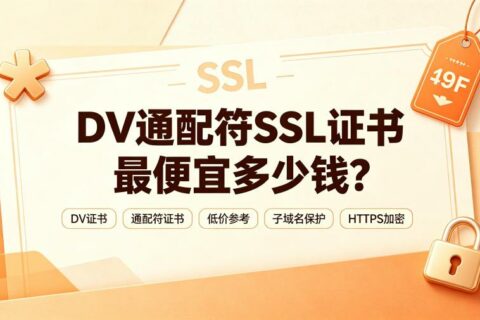 DV通配符SSL证书最便宜多少钱