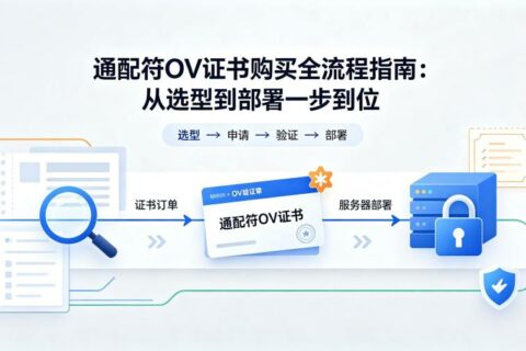 通配符OV证书购买全流程指南：从选型到部署一步到位