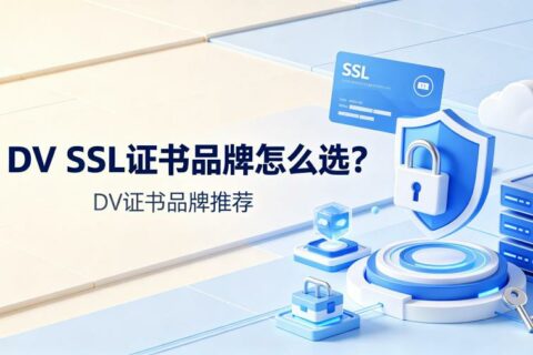 DV SSL证书品牌怎么选？DV证书品牌推荐