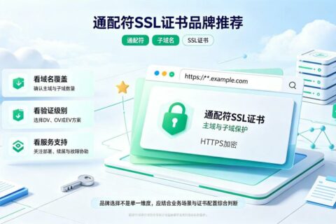 通配符SSL证书品牌推荐哪个？2026年高性价比选型指南