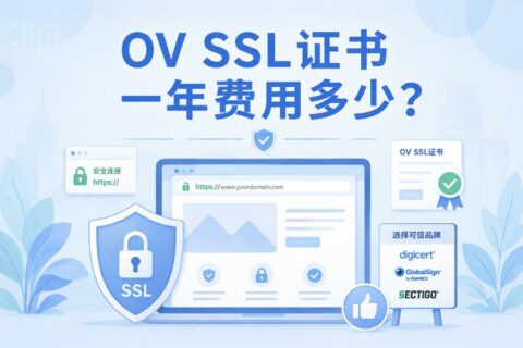 2026年OV SSL证书一年费用多少？主流品牌价格与选型参考