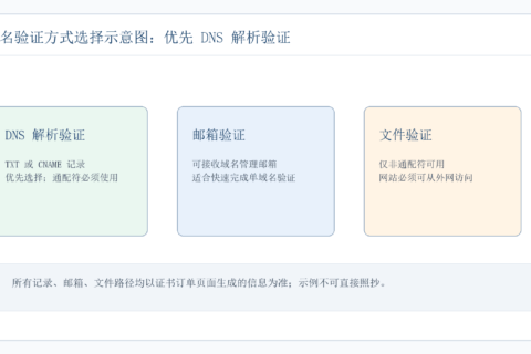 SSL证书域名验证完整教程